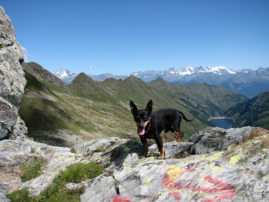 Masoni 056.jpg - Kant sulla cresta verso il Passo di Venina...sullo sfondo Valle e Lago di Venina e Alpi